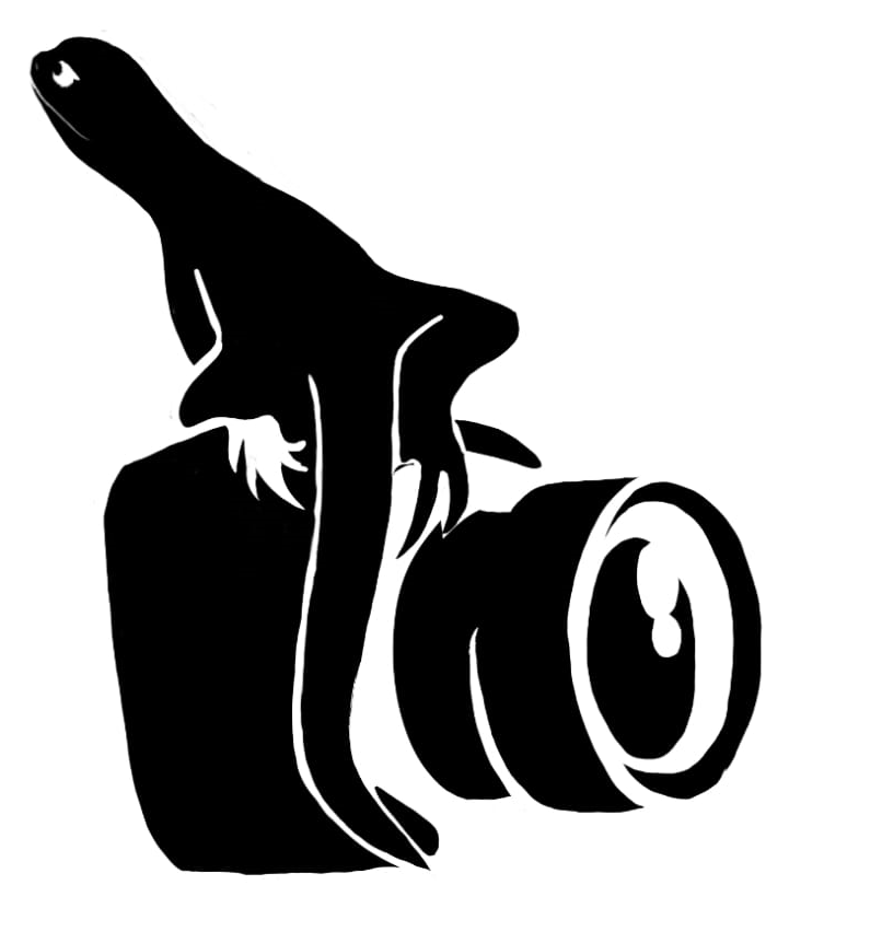 Logo de Nuestra Productora